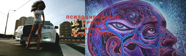 прущие крисы Новодвинск