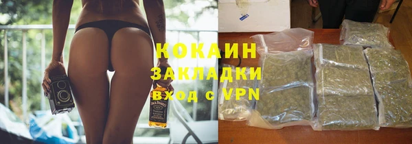 дмт Няндома