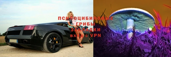дживик Новозыбков