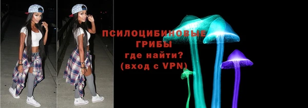 молекула духа Новокубанск