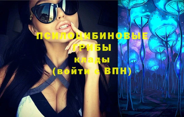 молекула духа Новокубанск