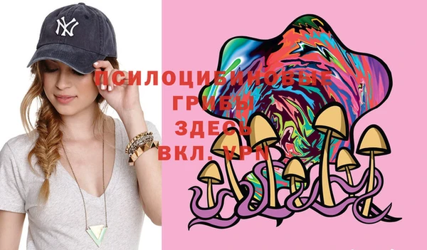 молекула духа Новокубанск
