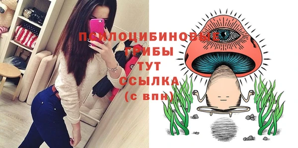 молекула духа Новокубанск