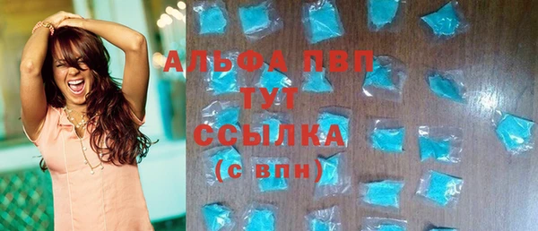 дживик Новозыбков