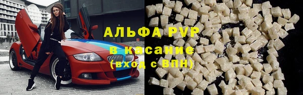 дживик Новозыбков
